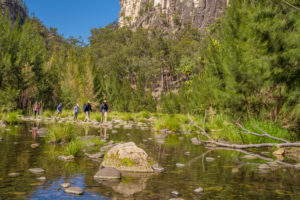 Carnarvon Creek Crossing #2