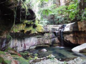 Moss Garden, Carnarvon Gorge