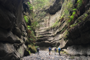 Bushwalkers explore a steep-sided sandstone canyon in Carnarvon Gorge