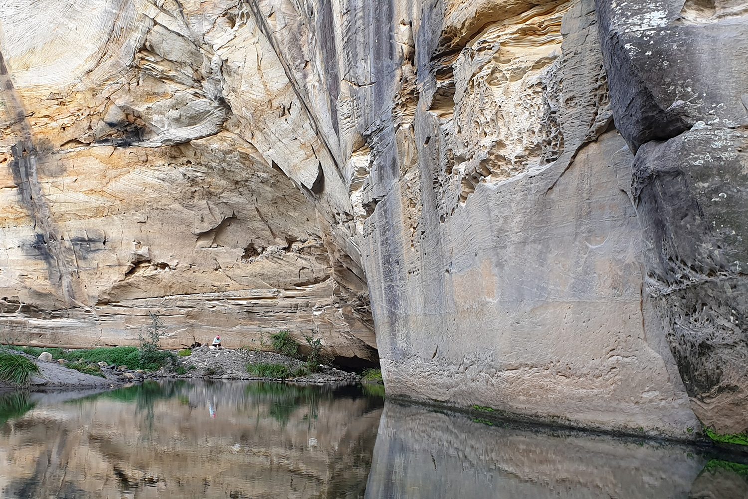 Big Bend: the end of the Main Walking Track at Carnarvon Gorge.