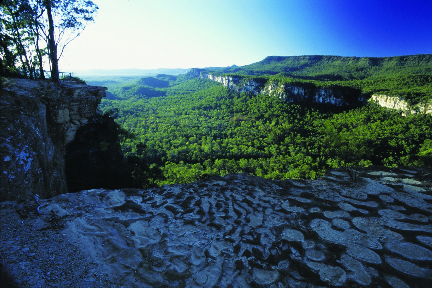 Carnarvon Gorge Self-Guided Walks