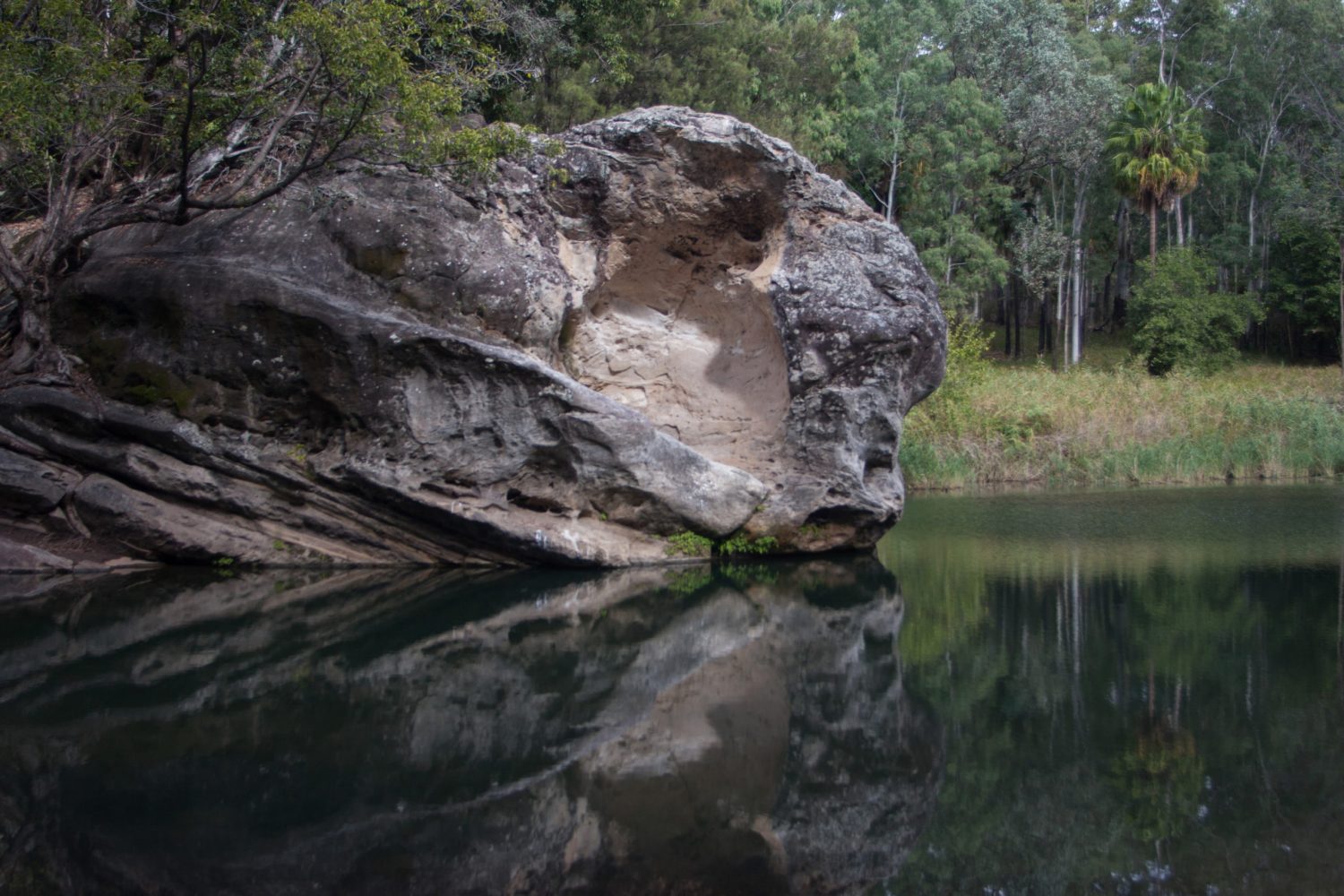 Rockpool 1