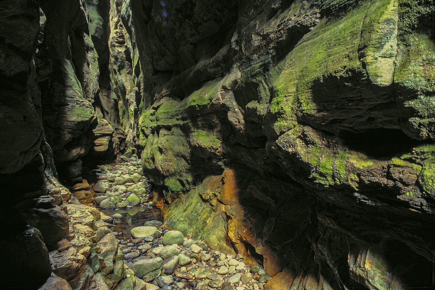 Warrumbah Gorge is an incredible narrow masterpiece. Be careful, it's quite rocky underfoot and requires good balance.